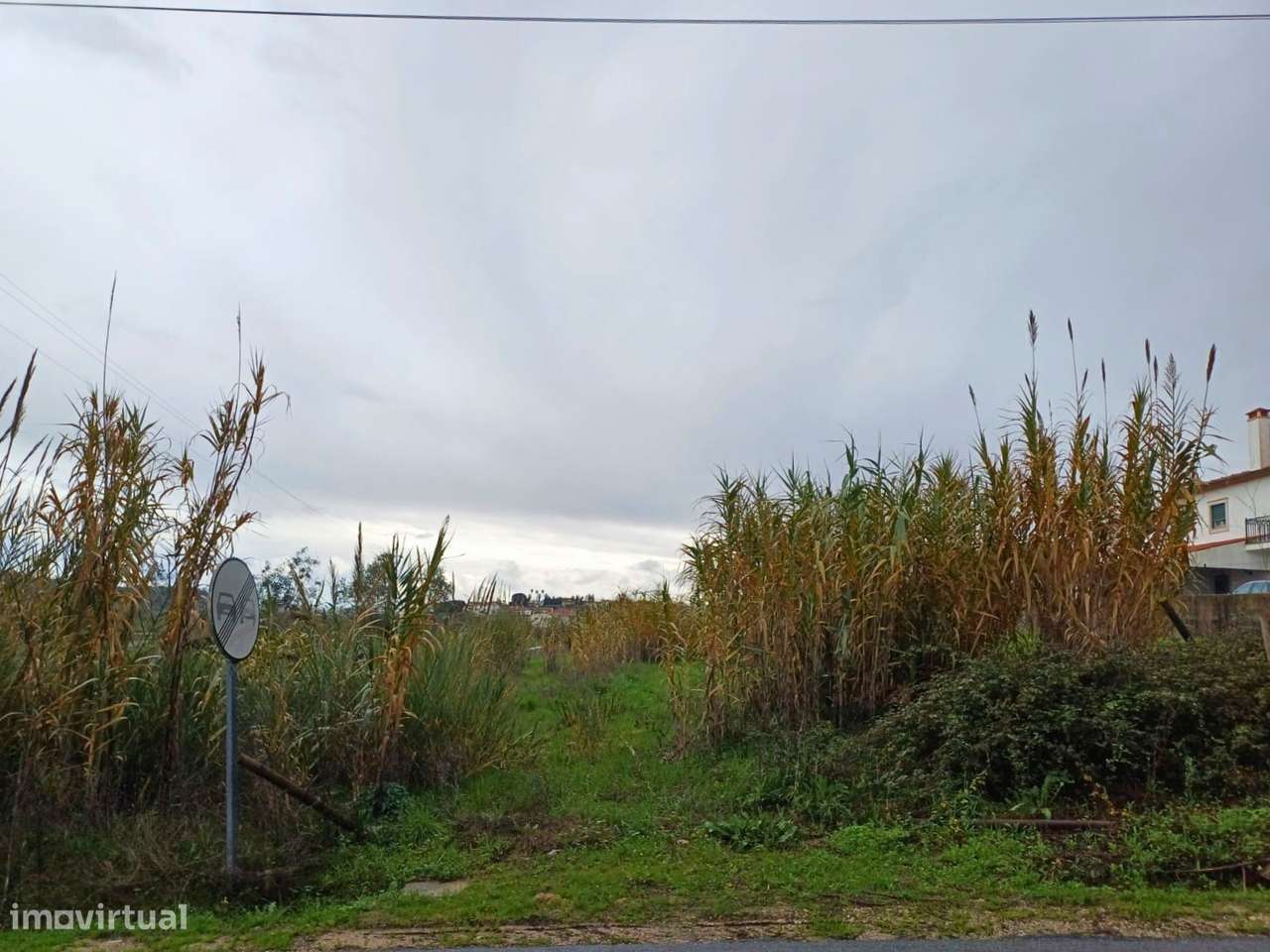 Terreno rústico com 3.840m2 situado em Alcanhões - Grande imagem: 3/3