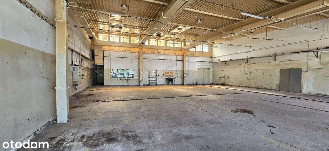 Hala usługowo magazynowo produkcyjna pow. 381m2; 7200,00 zł netto - Pełny obrazek: 4/19
