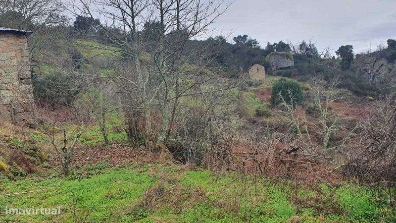 Propriedade com 4ha com Casas, Água, Vista e Muito Acolhedora - Grande imagem: 5/12