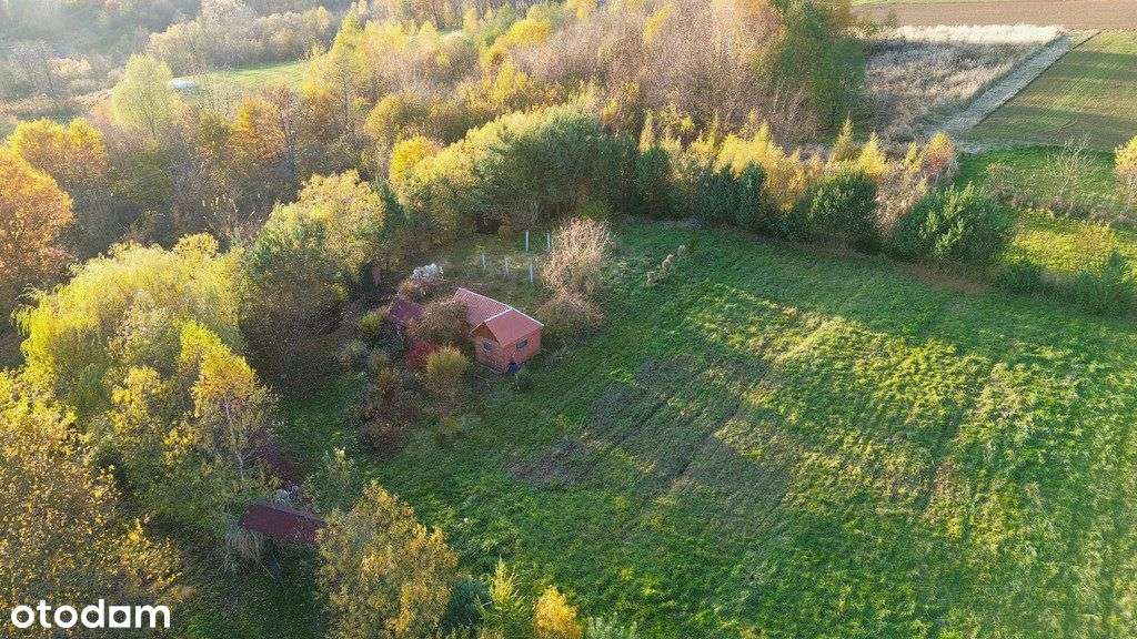 Widokowa Działka 29 Arów W Otoczeniu Lasu! - Pełny obrazek: 4/5