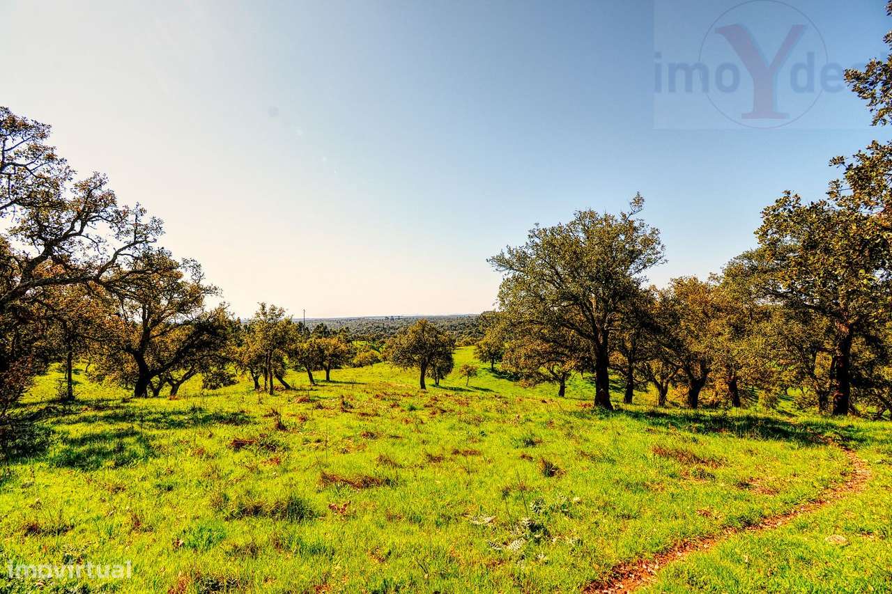 TERRENO EM S.BARTOLOMEU DA SERRA-29