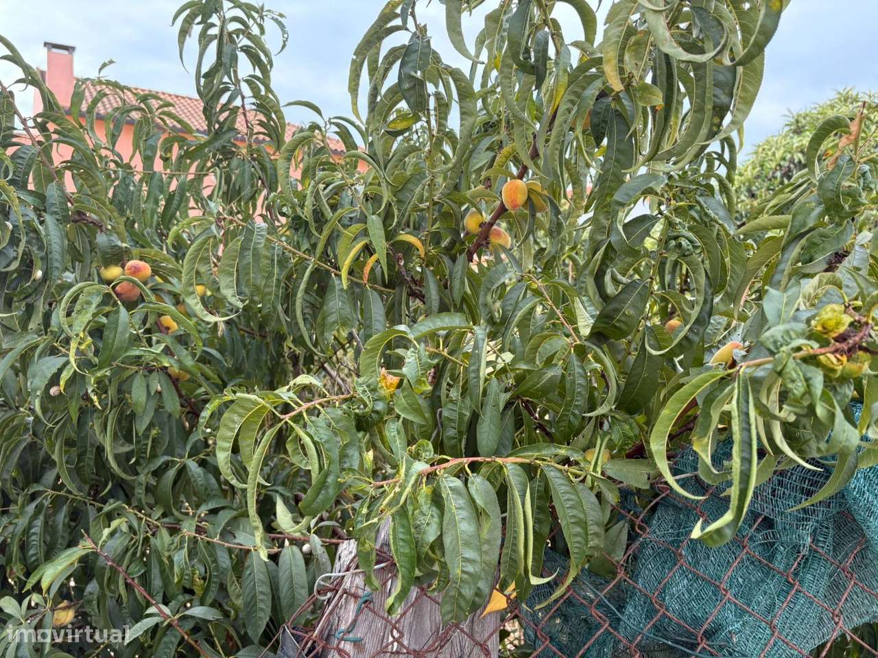 Vendem-se dois lotes urbanos Quinta do Conde  quatro moradias unifa...-11