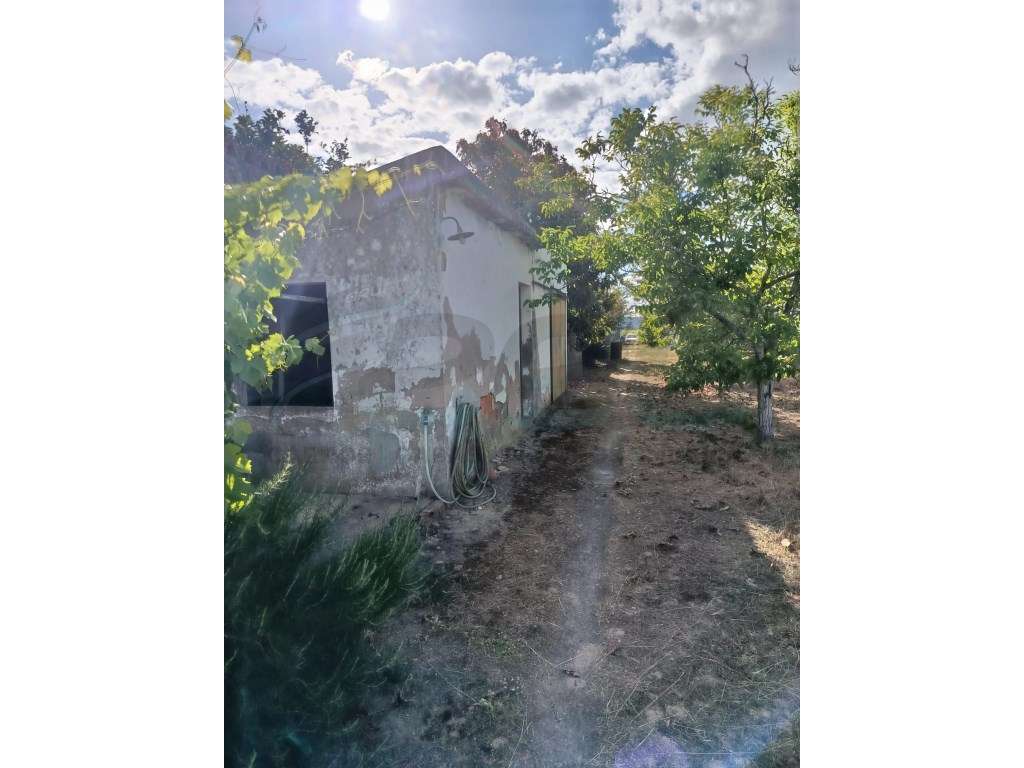 TERRENO URBANO-6