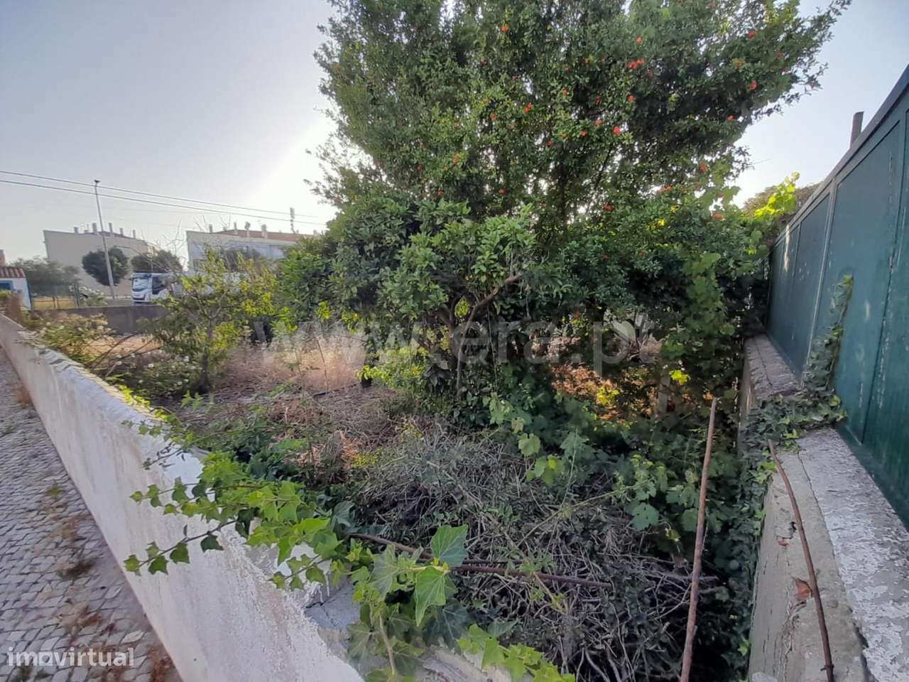 Terreno Urbano C/ 300 m2 - Venda do Alcaide-5