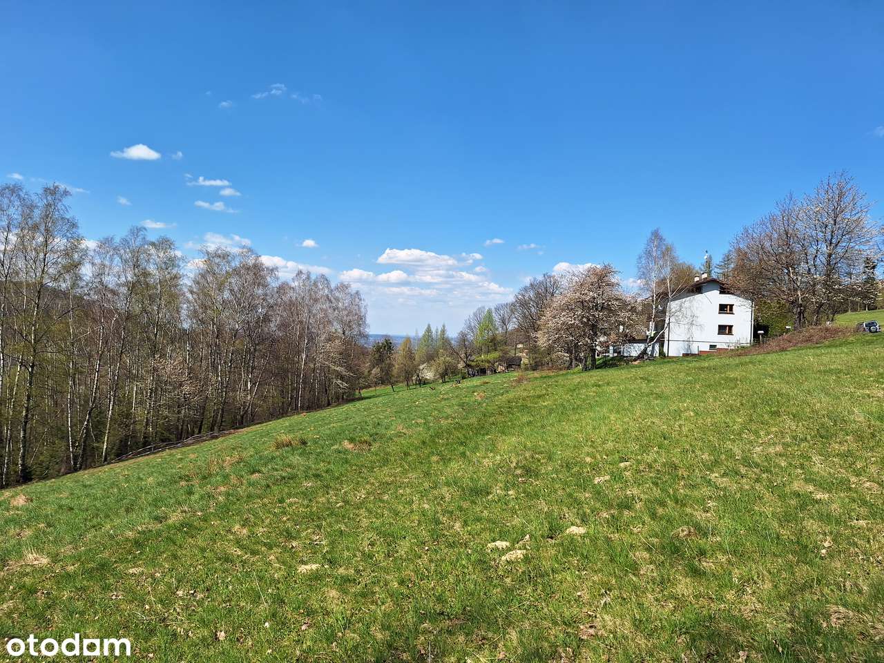 cisza, góry i las... - Pełny obrazek: 4/10