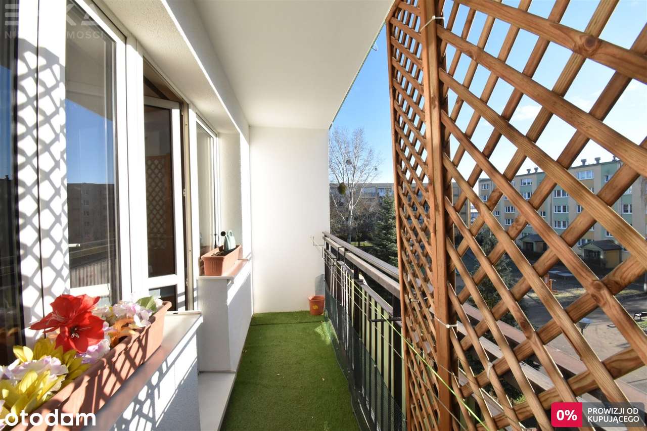 Duże z kuchnio-jadalnią Przybory 3 centr. Fordon - Pełny obrazek: 5/19