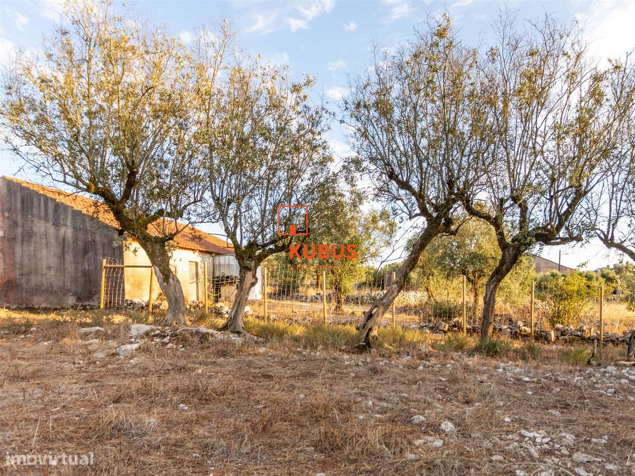 Quinta - Mendiga, Porto de Mós-5