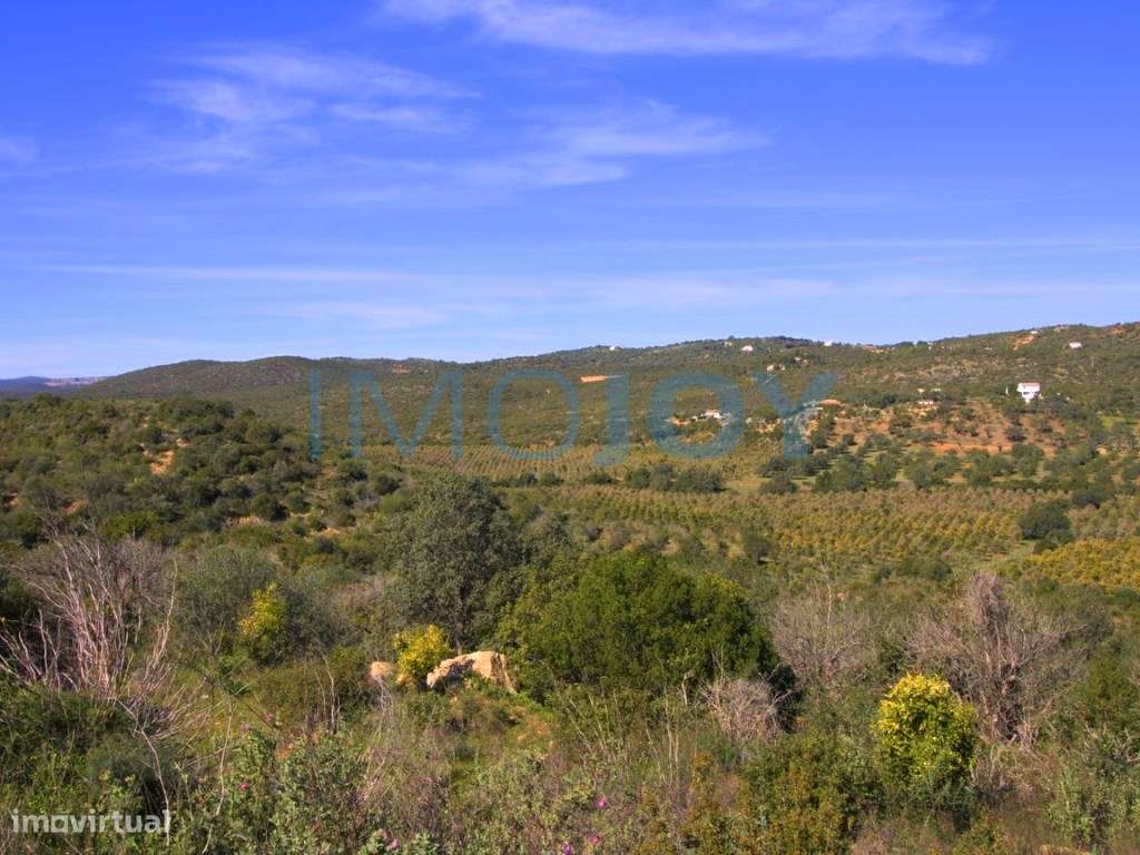 Terreno à 114ha em Luz de Tavira e Santo Estêvão - Grande imagem: 5/28