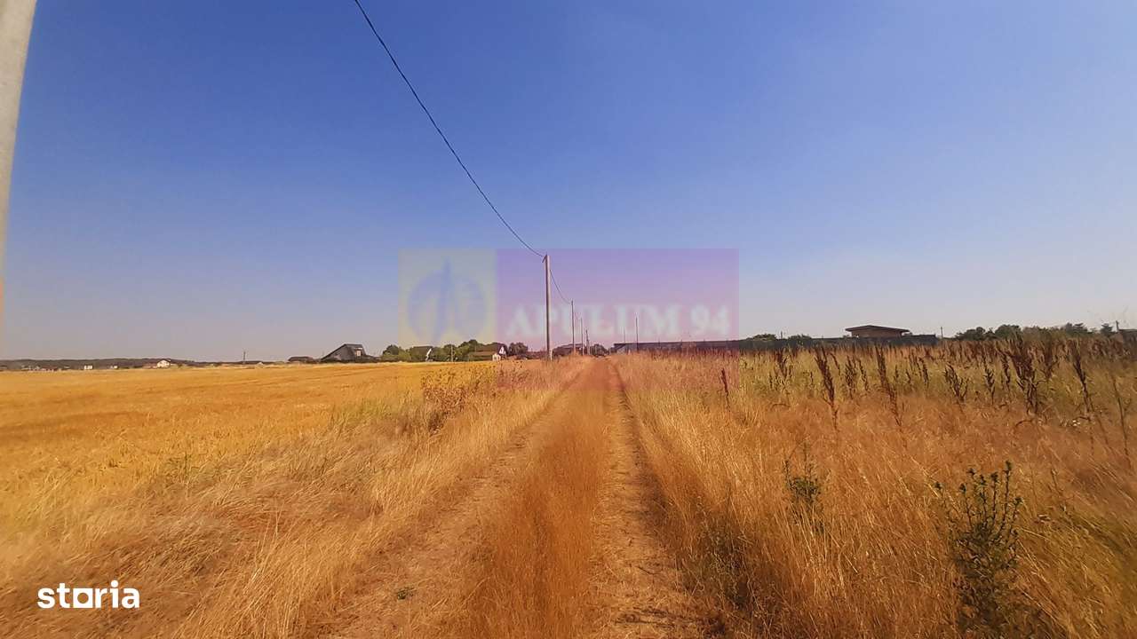 Teren pentru casă/case în Brănești pe strada Toporași - Imagine principală: 5/20