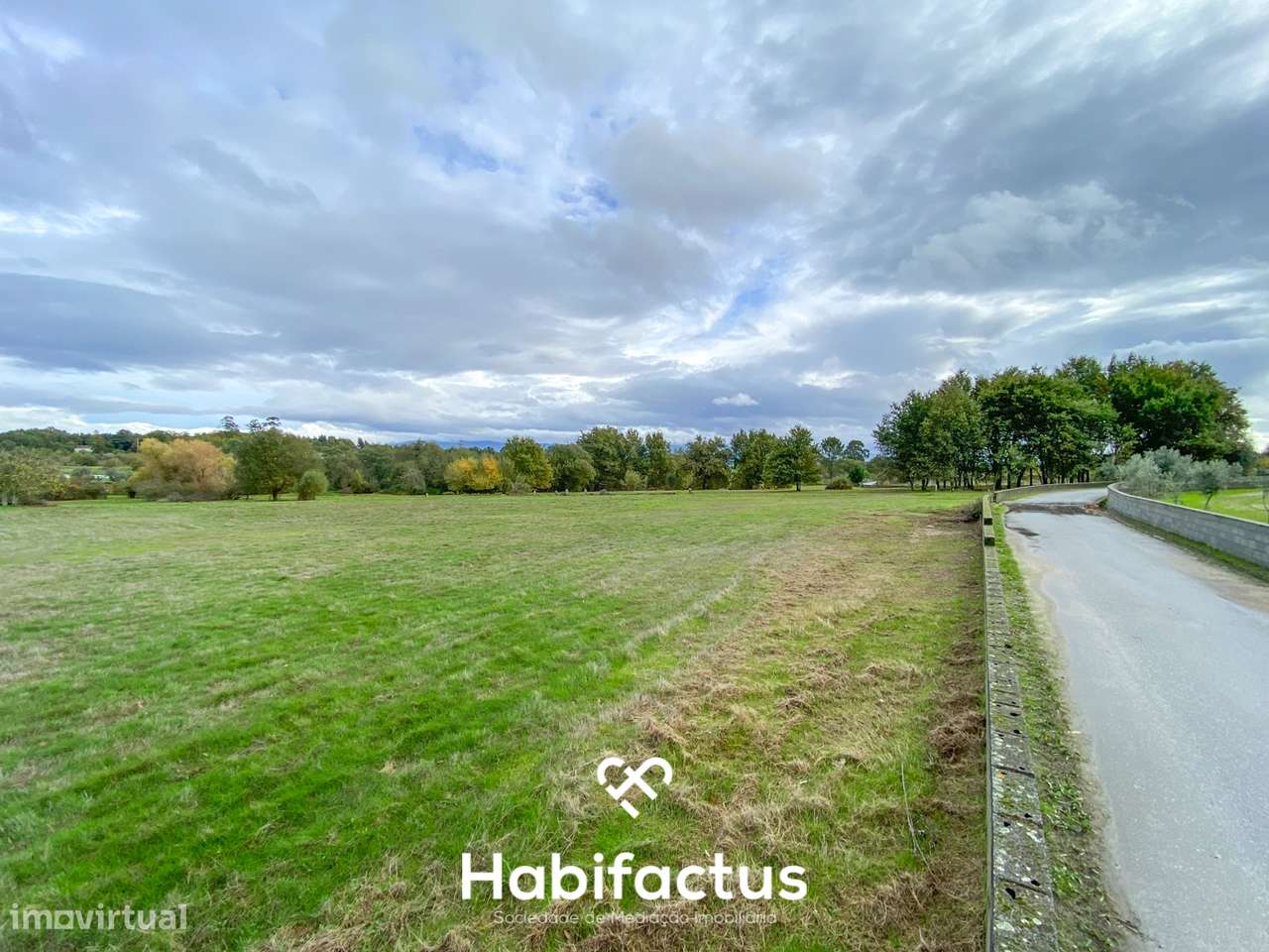 Quinta com 16.500 m² no centro de Mangualde – Oportunidade única! - Grande imagem: 5/6