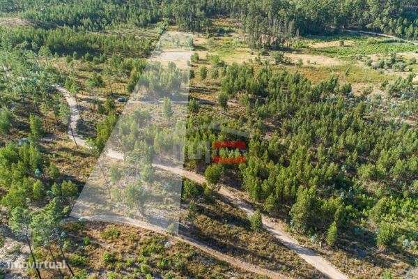 Terreno de grandes dimensões - Grande imagem: 2/2