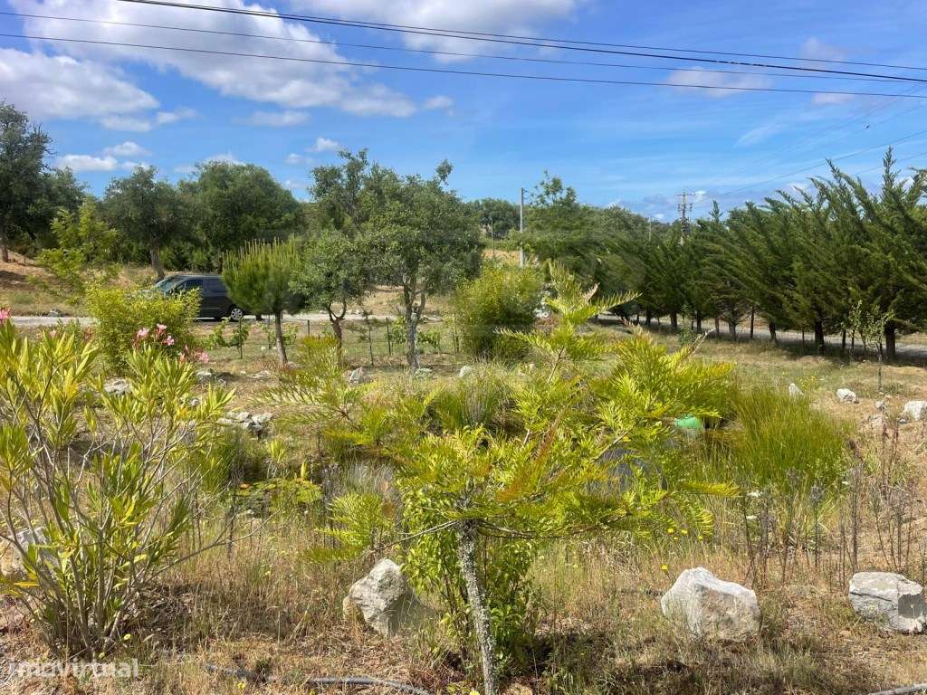 Quinta perto de Melides-50