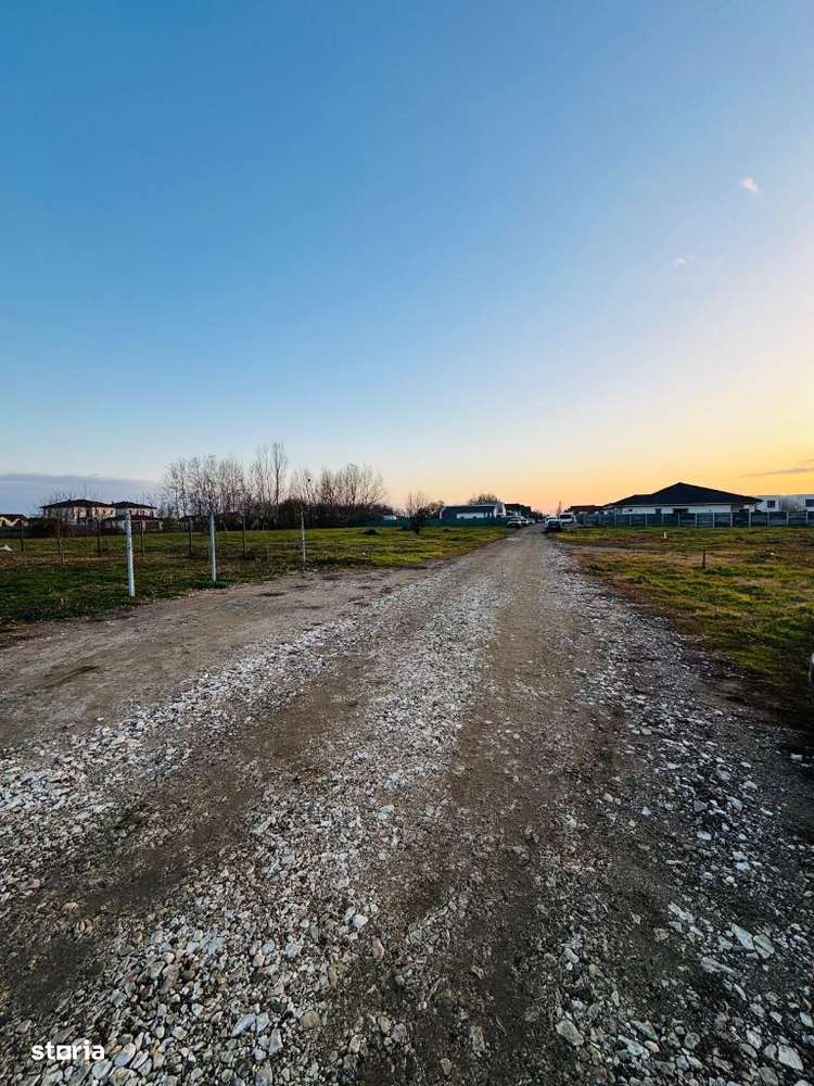 AV636 Teren intravilan, MOSNITA NOUA, 671 m - Imagine principală: 2/6