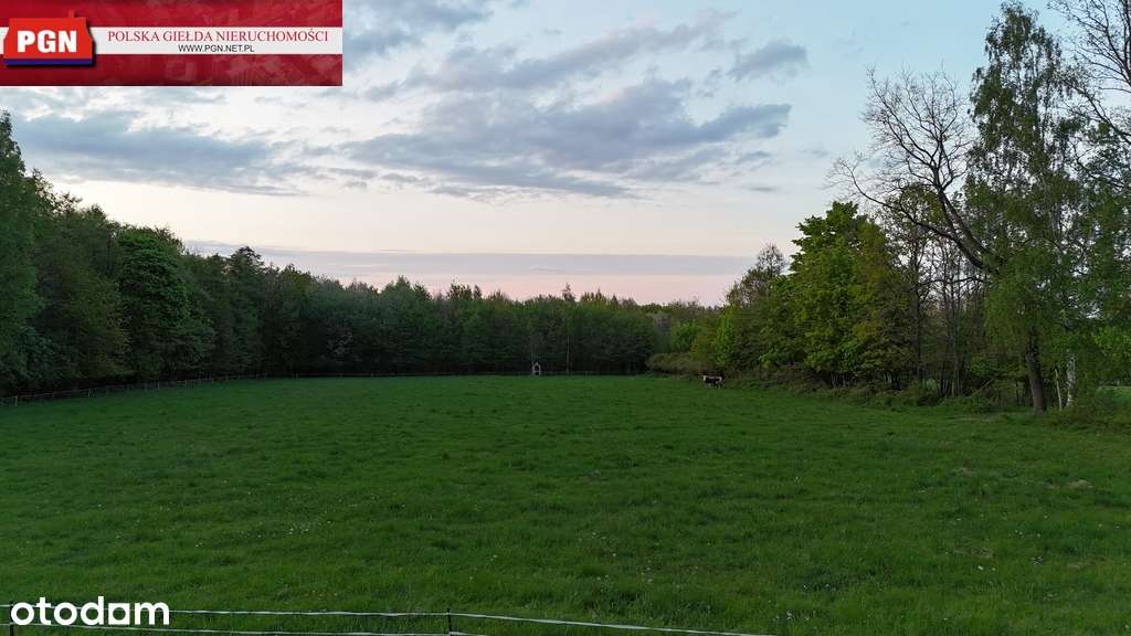 Działka w Polanicy Zdrój - Pełny obrazek: 4/7