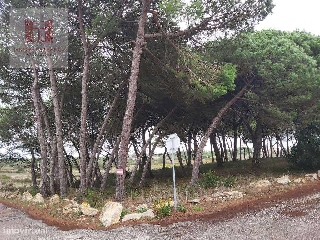 Quintinha com Moradia V3 Piscina - Sintra-27