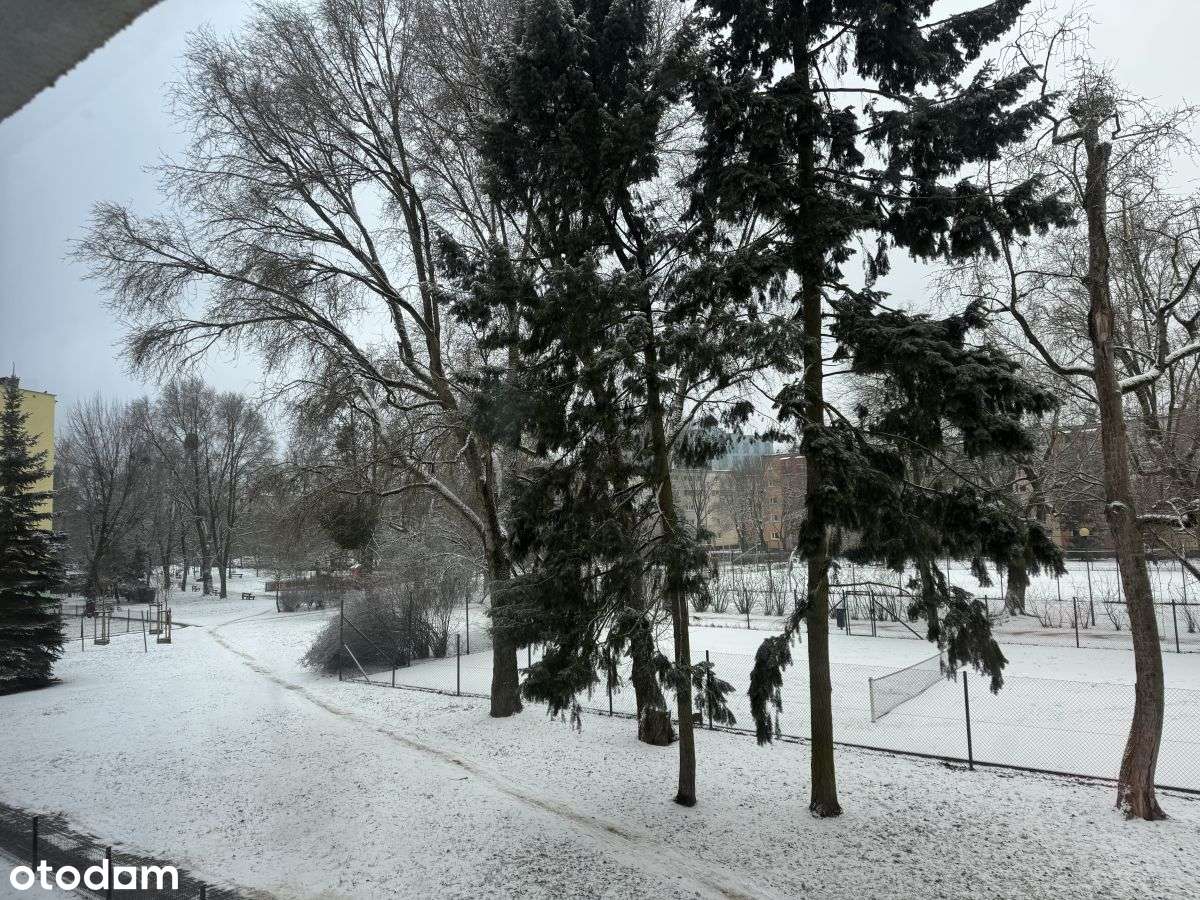 Grunwald, ul. Swoboda, 61m2, 4pok.-2