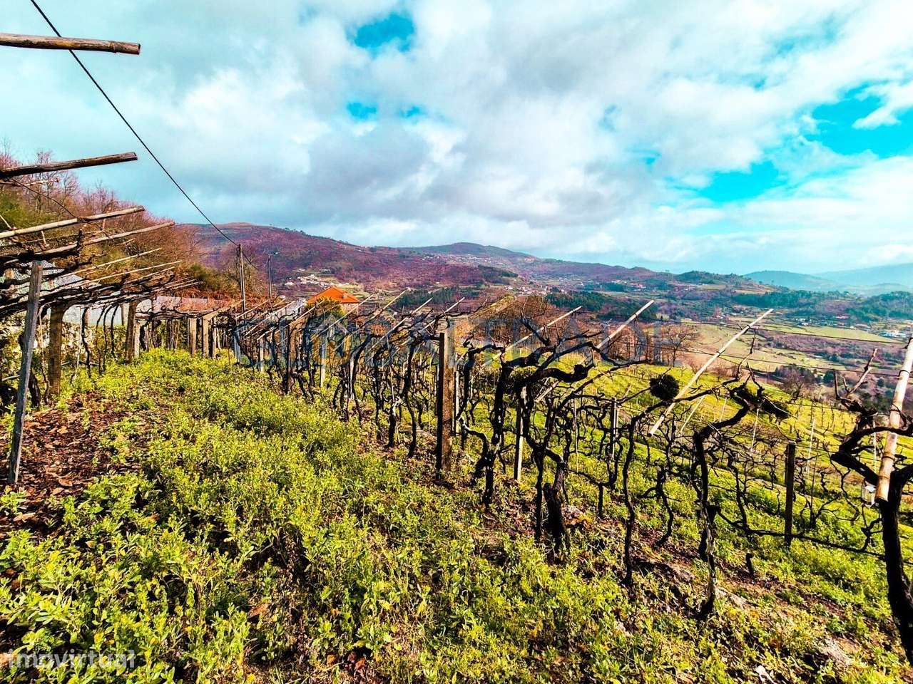 Quinta com 5250 m² & Moradia T1 em Pedra – Baião-39