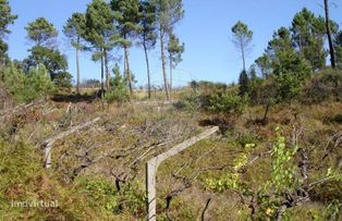 Terreno  para venda - Grande imagem: 2/7