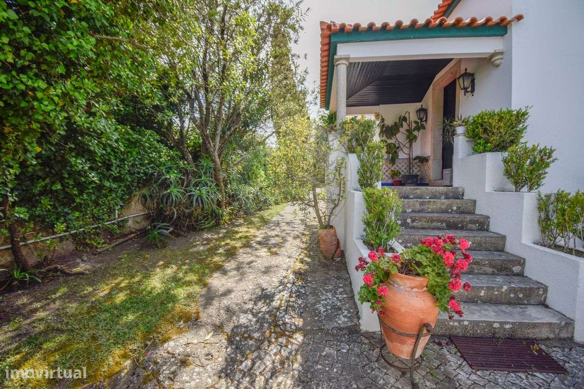 Quinta T9 para venda - Grande imagem: 5/50