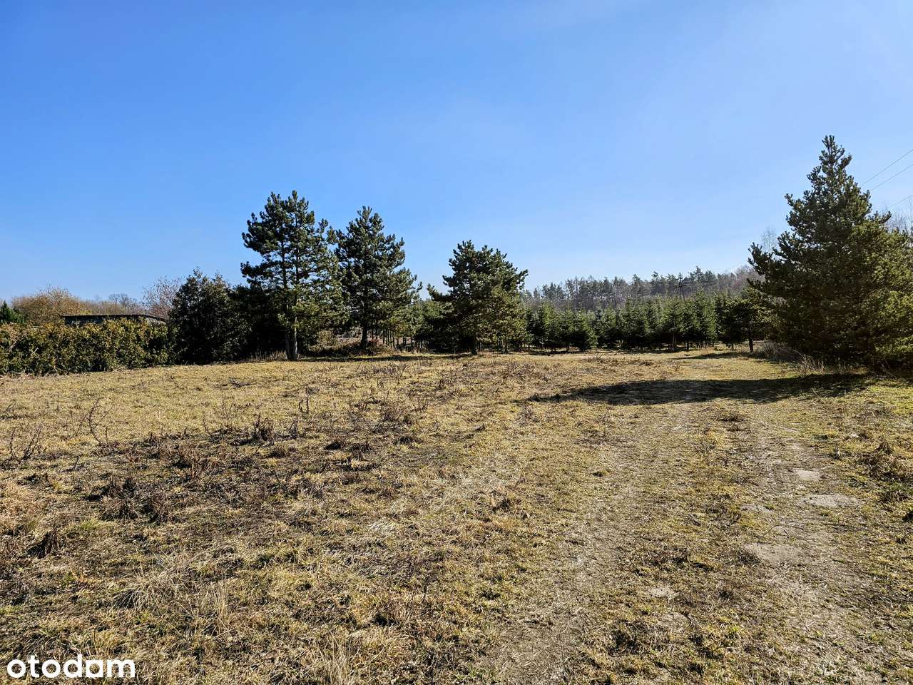 Działka budowlana 8600 m2. MPZP / Mikroklimat / Osuchów / Mszczonów-6