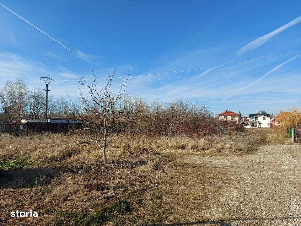 Loc de casa cu utilitati, 944mp cu 29m deschidere, Ciofliceni - Snagov-8