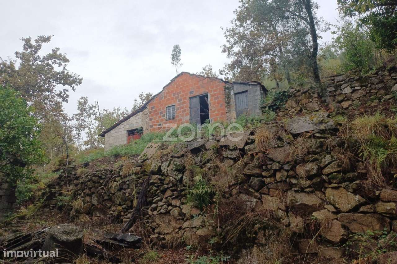 Oportunidade Única: 2 Artigos Urbanos para Obras + 3 Terrenos-Alvite-13