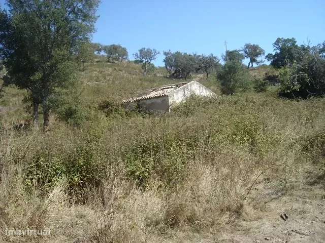 Terreno Rústico e Urbano com mais de 4 hectares na Barranquinha | Port - Grande imagem: 4/33