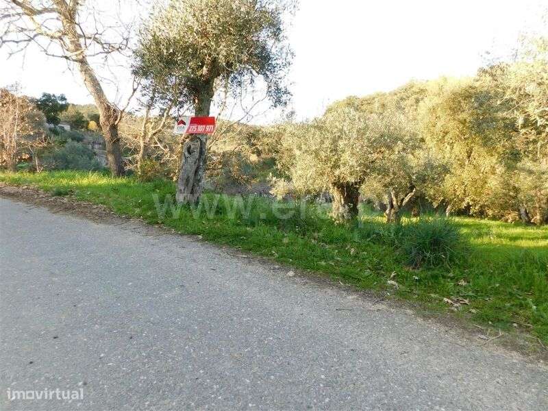 Terreno / Fundão, Telhado - Grande imagem: 2/5