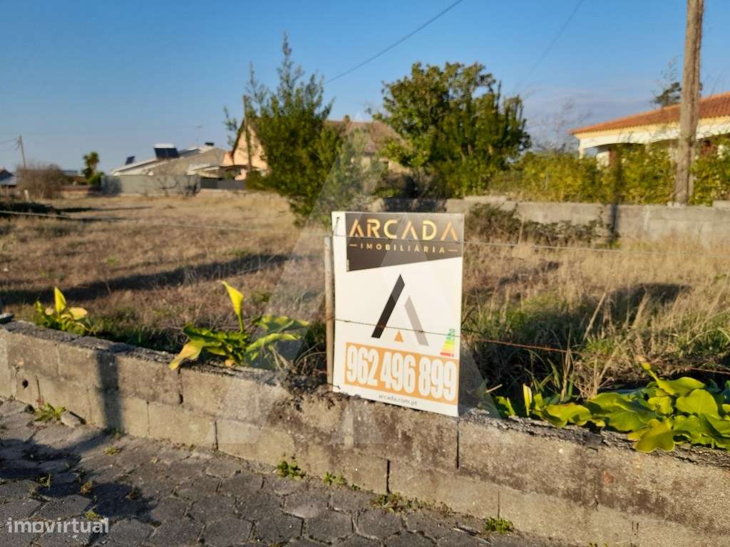 Terreno com viabilidade de construção, sito em Calvão, Vagos - Grande imagem: 5/9