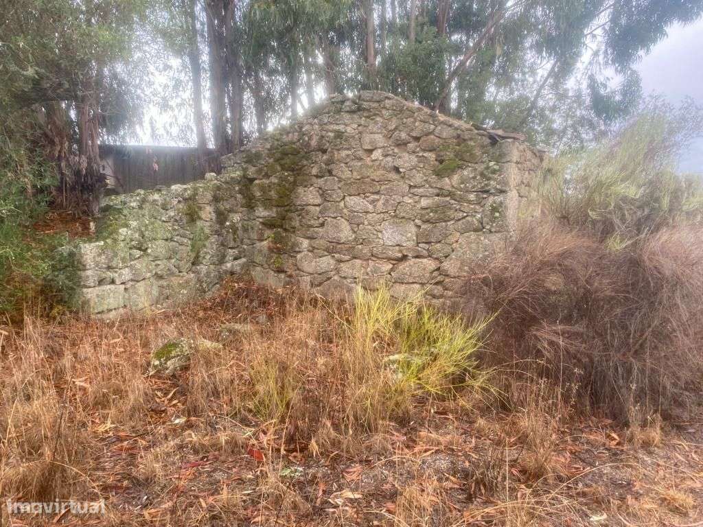 Quintinha - Grande imagem: 5/10