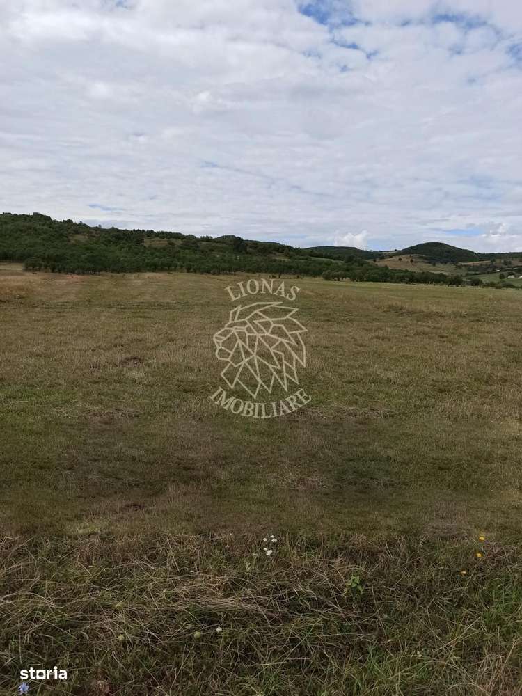 TEREN INTRAVILAN 5000 mp-ideal case,hale-Livezile PRET PROMO! - Imagine principală: 3/3