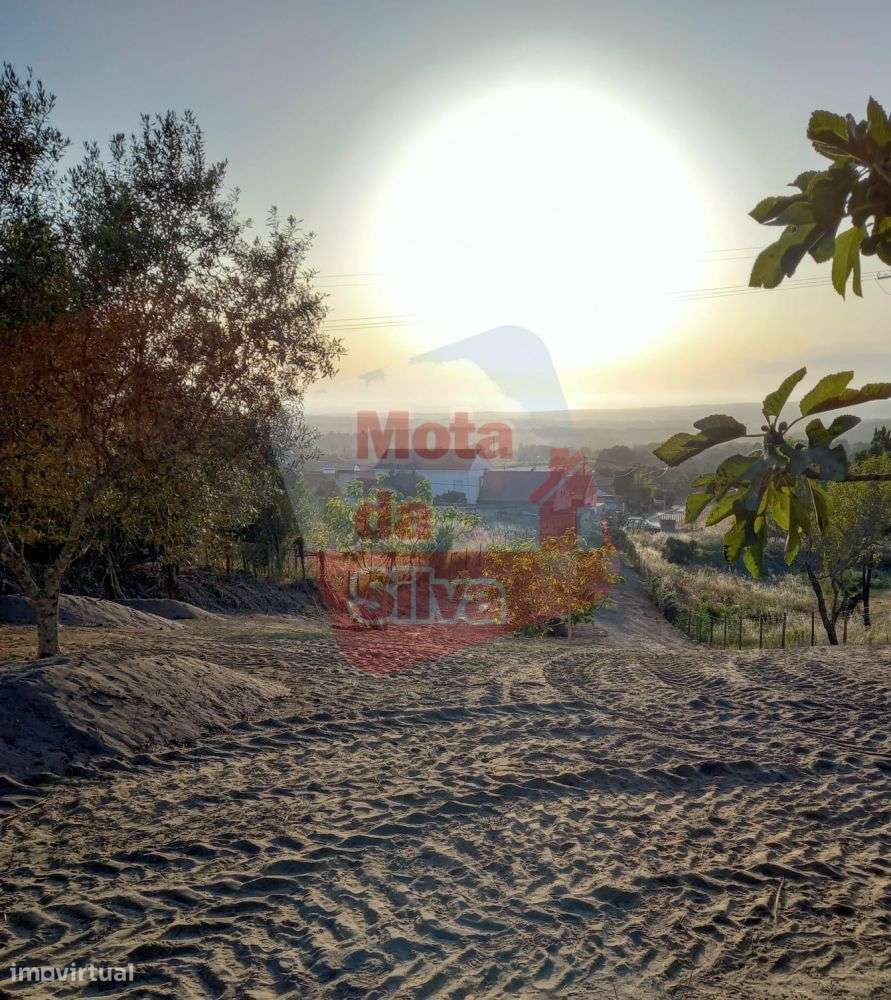 Quinta em Vale Figueira Melides-21