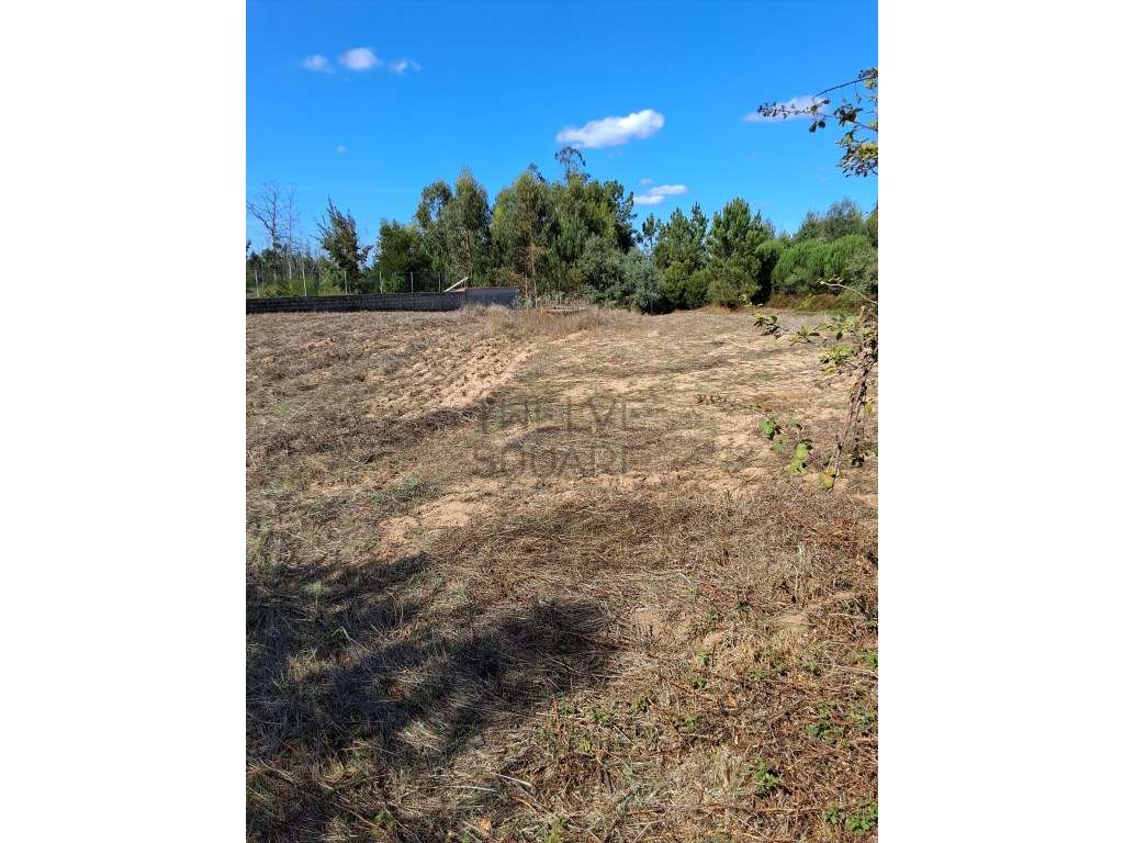 Terreno com 1.230 m2 em Leiria - Grande imagem: 5/5
