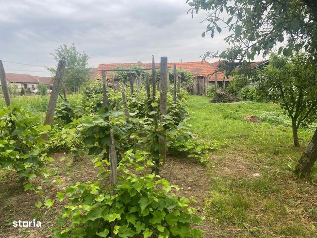 Casa traditionala renovata + anexe si gradina, Telesti, Gorj-8
