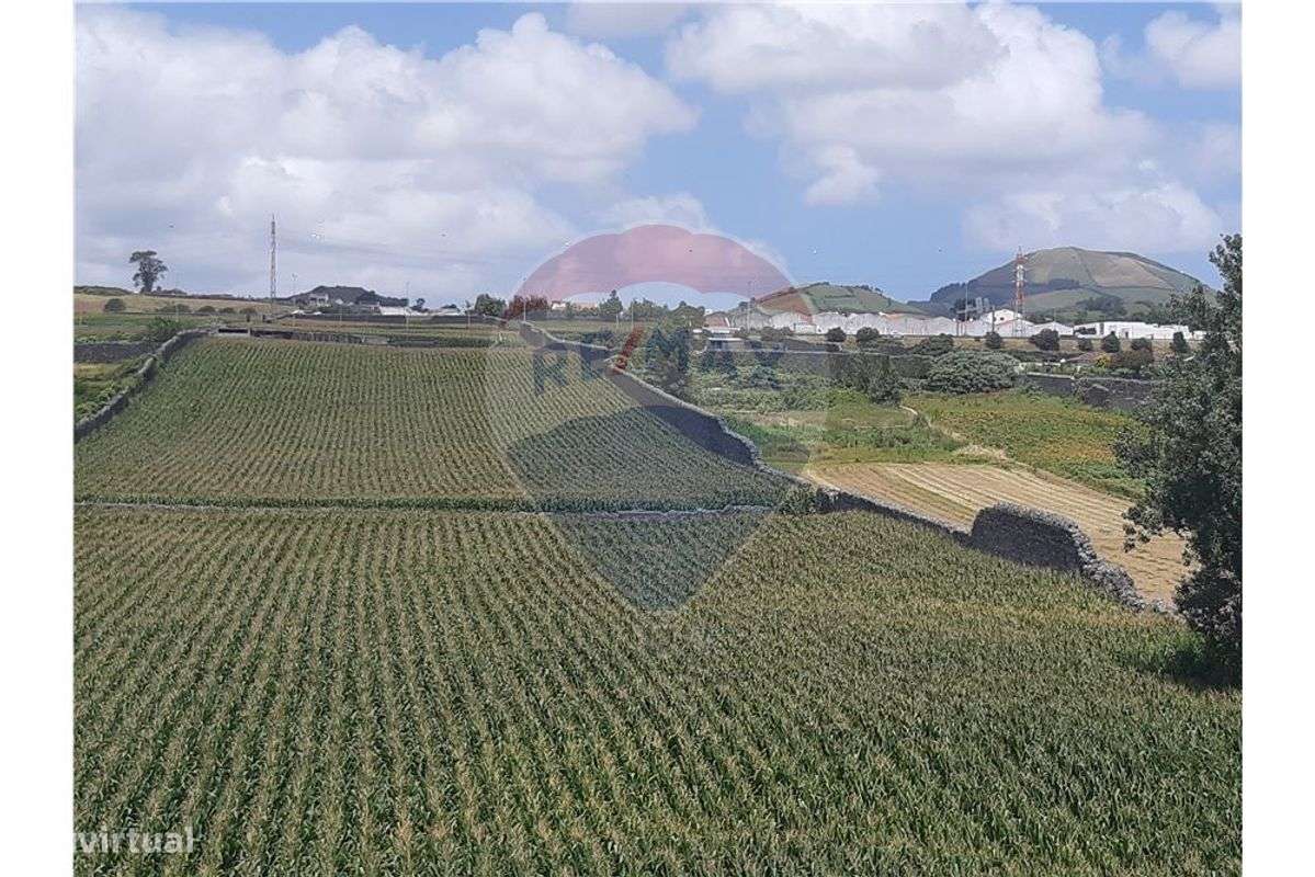 Terreno  para venda - Grande imagem: 3/5