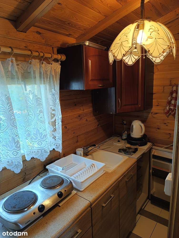 Działka rekreacyjna ROD Benedy II w Bydgoszczy! 2 Pokoje! - Pełny obrazek: 3/9