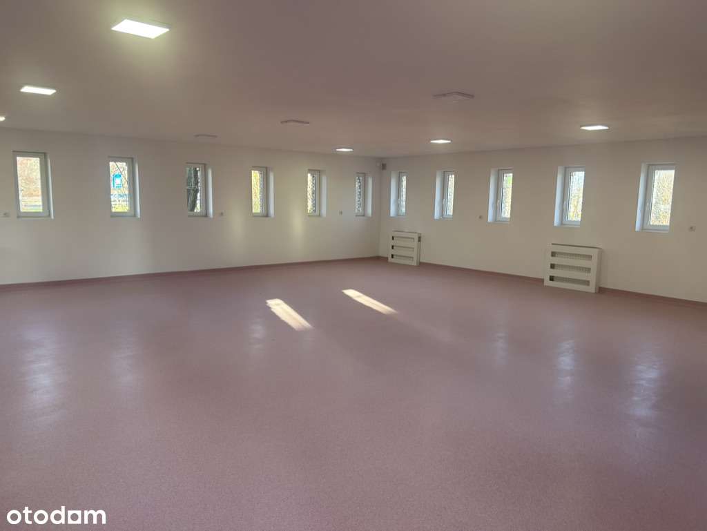 Wynajmę lokal usługowy 690 m2 Warszawa ul. Łazienkowska - Pełny obrazek: 3/11