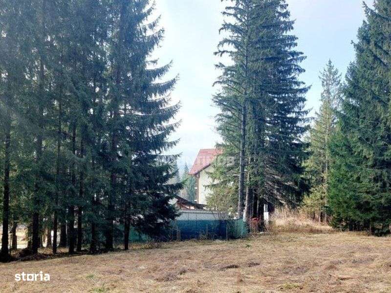 Teren intravilan în Poiana Brașov, strada Poiana Ruia-3