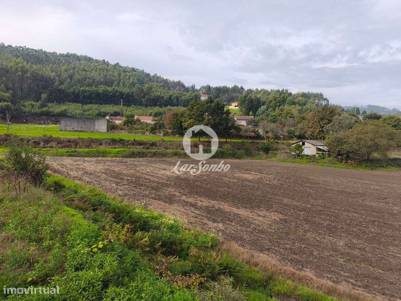 Terreno agrícola - Grande imagem: 2/17