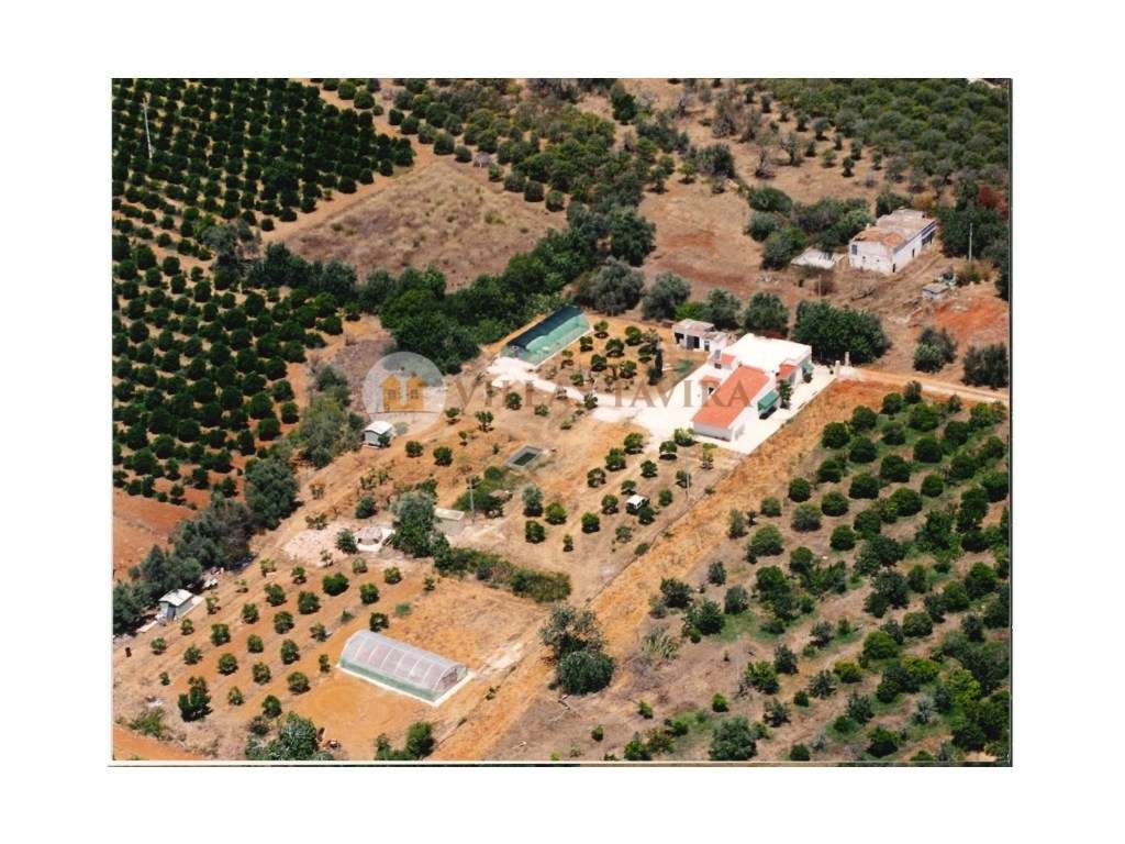 Quinta com 7.320 m² de Terreno - Excelente Oportunidade de Investim... - Grande imagem: 4/60