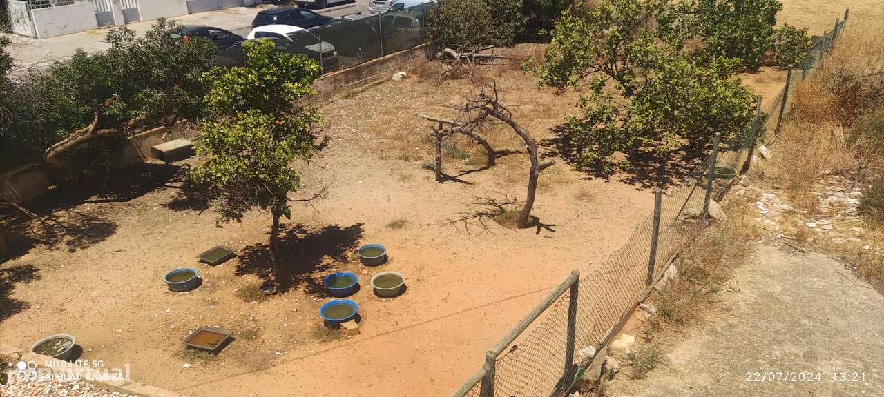 Moradia + Terreno P/ Construção-12