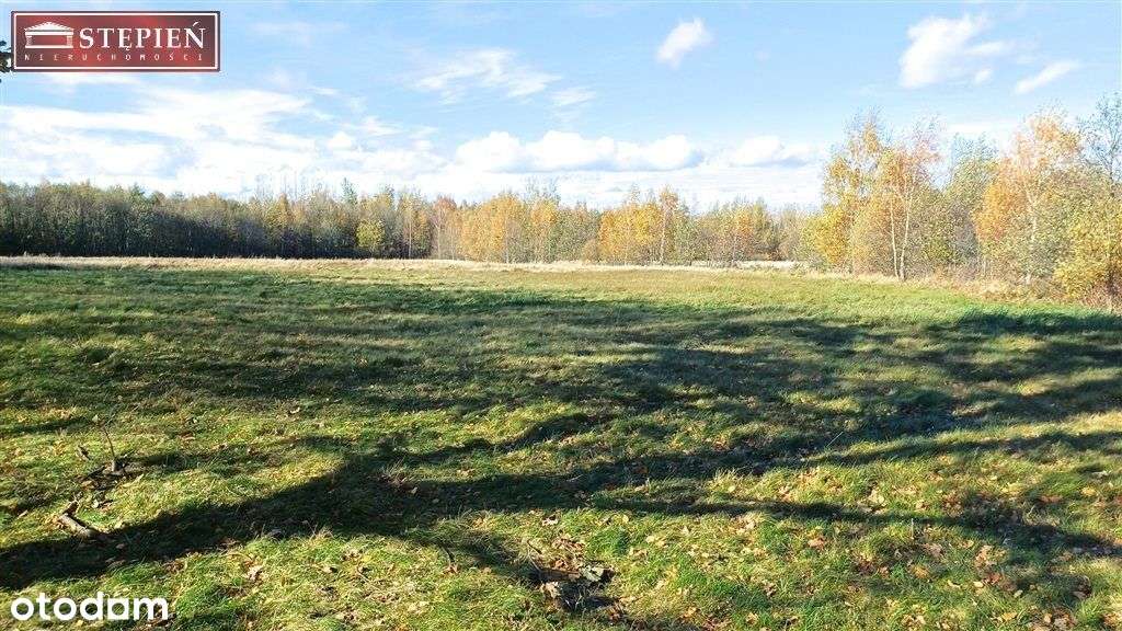 Działka rolna z potencjałem zabudowy - Pełny obrazek: 5/9