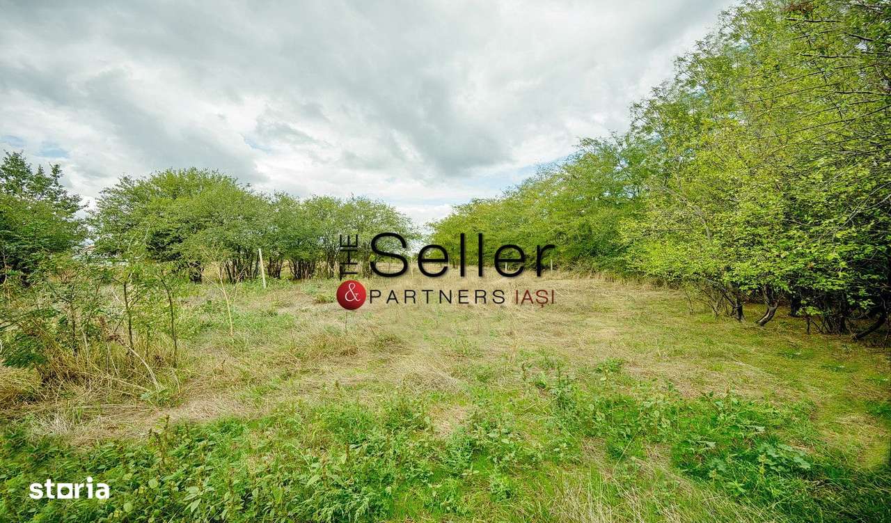 Teren 2.557 mp plan, langa pădurea Galata-11