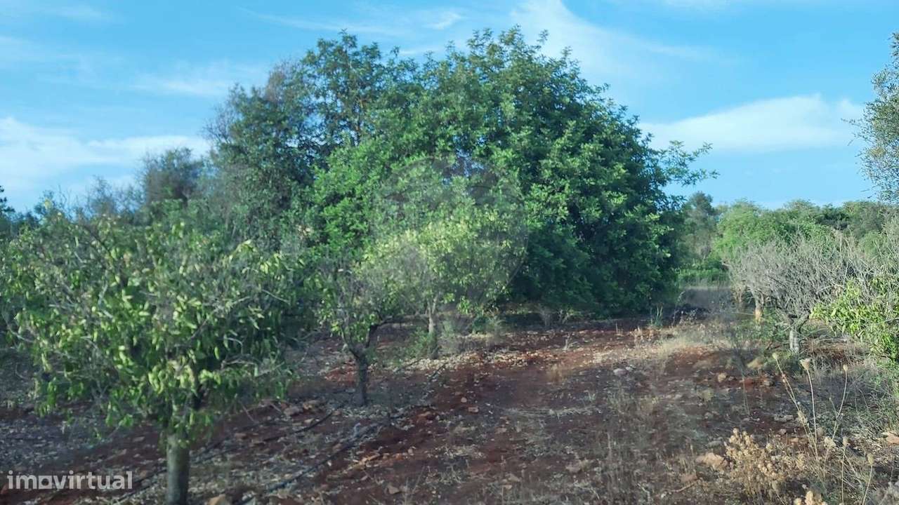 Terreno  para venda - Grande imagem: 4/13