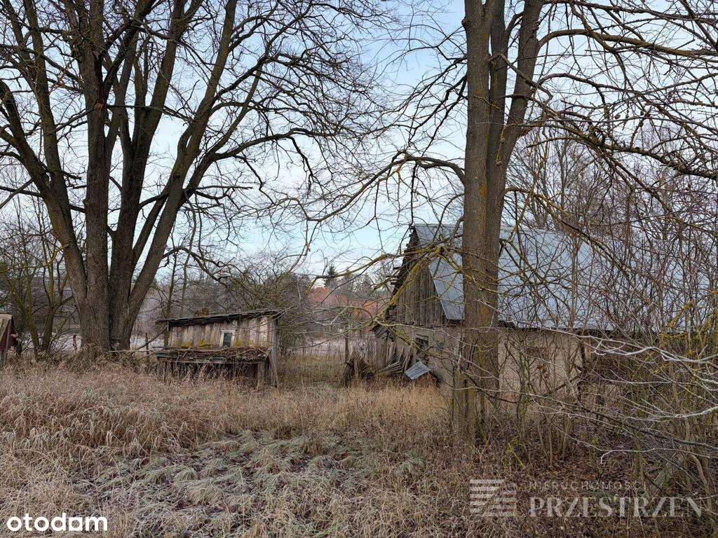 Działki 15 minut od Sokółki - Pełny obrazek: 4/20
