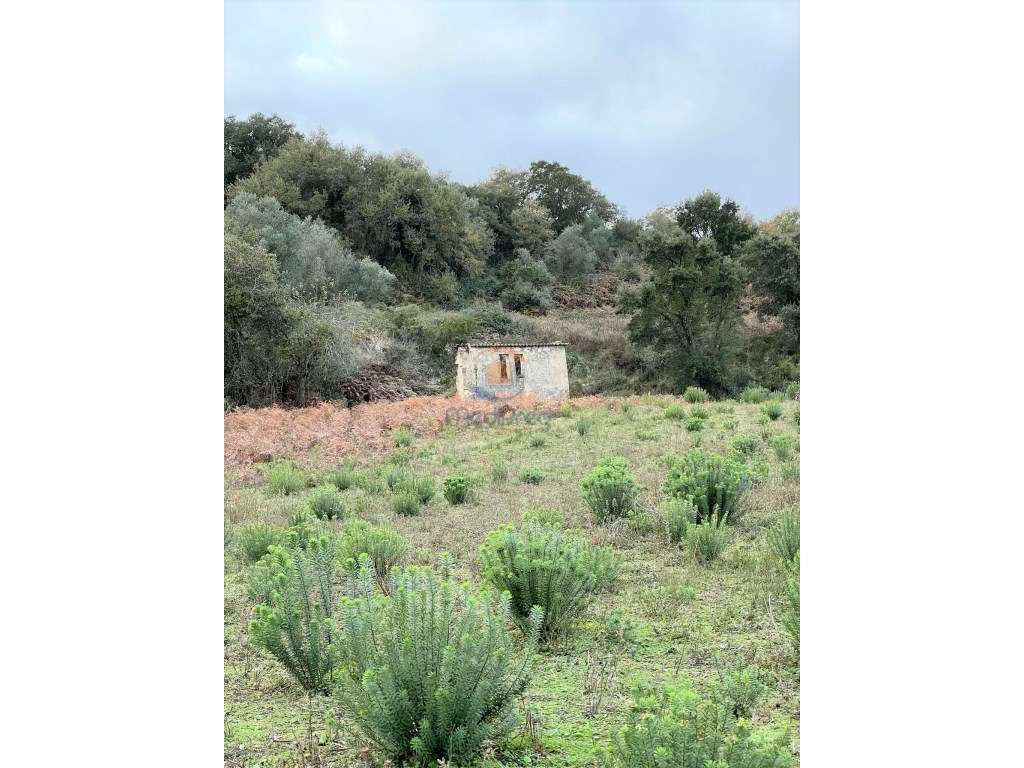 Lote com 25.500 m2 em Arruda dos Vinhos - Grande imagem: 4/9