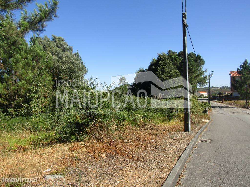 4 Terrenos Rusticos - Grande imagem: 4/13