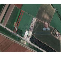 Teren 5000 mp, ieșire din Tecuci, după Peco Gălbenuș - Imagine principală: 4/4