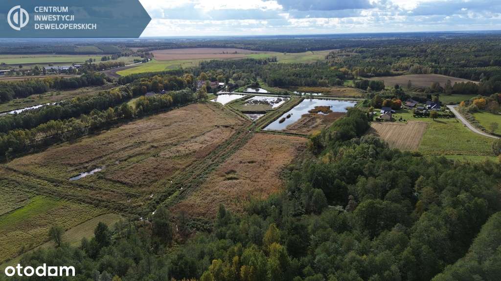 Stawy rybne z prowadzoną hodowlą ryb - Pełny obrazek: 5/9