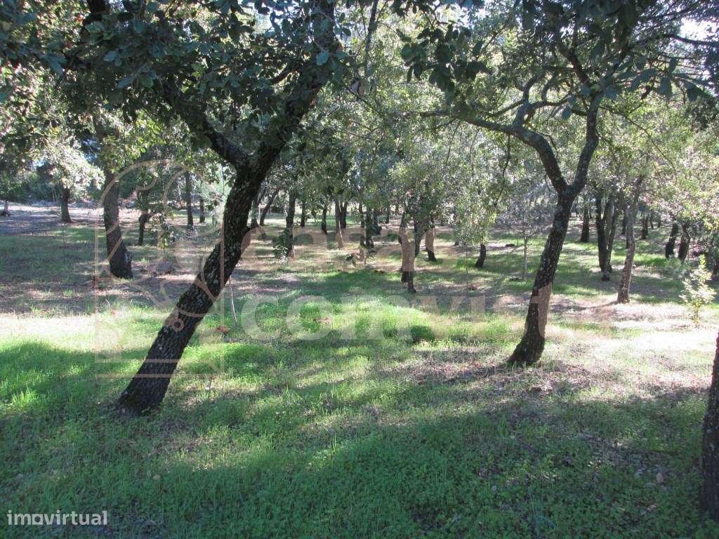 Terreno - Grande imagem: 4/12